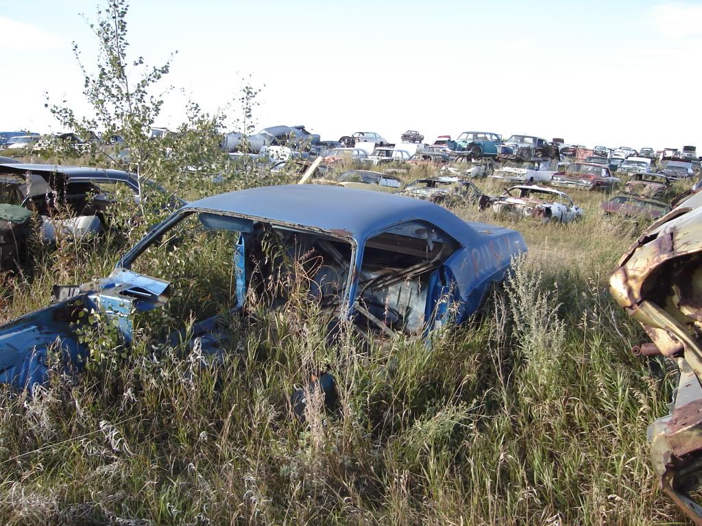 Alberta Auto Wrecker pics For A Bodies Only Mopar Forum